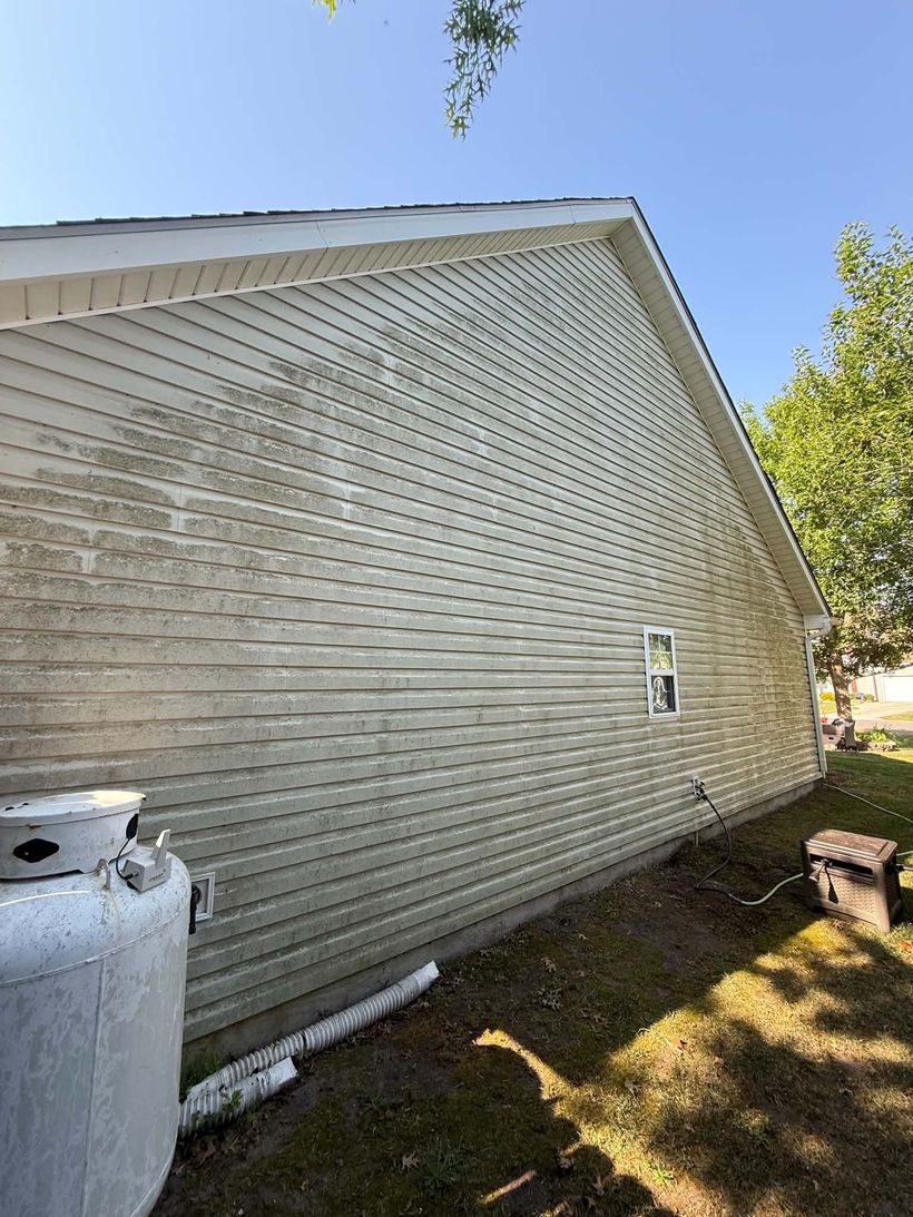 Home siding before soft washing, green algae streaks